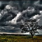Justin Dernier - @pointsnorthphotography - Instagram
