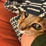 Justin Dew - @dew.justin - Instagram
