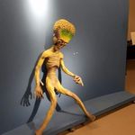 Justin Dittrich - @justindittrich686 - Instagram