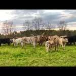 Justin Dupree - @justin_dupree - Instagram