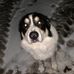 Justin Durst - Facebook
