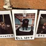 Justin Earley - @justearley - Instagram