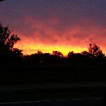 Justin Eden - @justinceden - Instagram