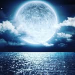 Justin edgell - @_justin_2019_ - Instagram