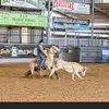 Justin_Elms - @justinelms12 - TikTok