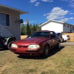 Justin Everett - @everett5505 - Instagram