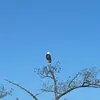 Justin W Flagg - @justinwflagg - TikTok
