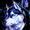 justin.2008gandy - @justin.2008gandy - TikTok