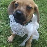Justin Gerdes - @gendes85 - Instagram