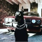 Justin Greco - @justgreco - Instagram
