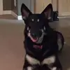 Justin Gressett - @justin.gressett - TikTok