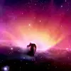 Justin Grinnell - @justin.grinnell - TikTok