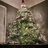 Justin Halliday - @justin.halliday2 - TikTok