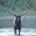 Justin Haman - Facebook
