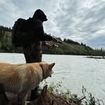 Justin Hamrick - @just_hamrick - Instagram