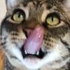 JustinHatton3 - @justin.h3 - TikTok