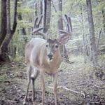 Justin Hawks - @the_bro_staff - Instagram