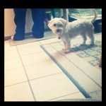 @justin_hazard01 - Instagram