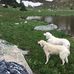 Justin Holstein - Facebook