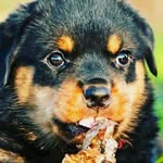Justin Holstein - @justin.holstein - Instagram