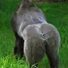 Justin Hubert - @justin.hubert5 - TikTok
