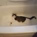 Justin Imler - Facebook