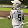 𝙹𝚞𝚜𝚝𝚒𝚗⚾️🛡️ - @justin_lizzo - TikTok