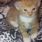 Kappel Justin - @justinkappel622024 - Instagram