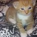Kappel Justin - Facebook