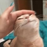 @justinkaufmann_ - Instagram