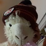 Justin Fanpage✨🤪💞 - @justinkelchenfanpage - Instagram