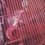 justin kellam - @juatin_kellam123 - Instagram