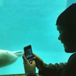 Justin.Knott - @jknottirc - Instagram