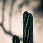 Justin Kohn - @justinjkohn - Instagram