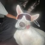 Justin Laducer - Facebook