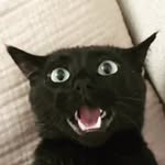 justin landers - @justinllanders - Instagram