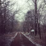 Justin Lantz - @beardedlantz - Instagram