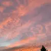 Justin Larocque - @user3761173512983 - TikTok