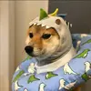 Justin ley - @justin.ley1 - TikTok