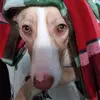 justinlinebarger - @justinlinebarger - TikTok
