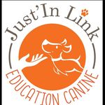 Just'In Link - @just_in_link - Instagram