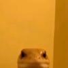 Justin - @justin.luce - TikTok