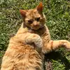 Justin - @justin.luk927 - TikTok