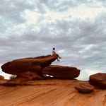 Justin Luk - @cy_justinluk - Instagram