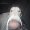 justin_le_malin - @justin_le_malin - TikTok