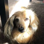 Justin Mathias - @stoopidloco06 - Instagram