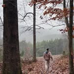 Justin Mattison - @mattisonjustin6 - Instagram