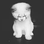 justin_mauermann - @justin_mauermann - Instagram