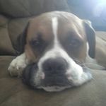 Justin Ray McAbee - @justinraymcabee - Instagram