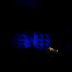 Justin Wyane Mcmaster - @justin_w_m_1996 - Instagram